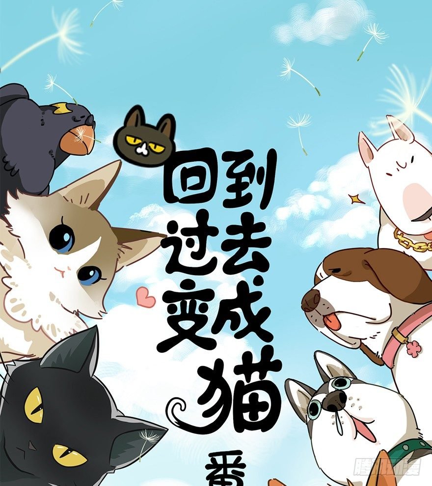 第64爪 真的胜利了吗？（上）