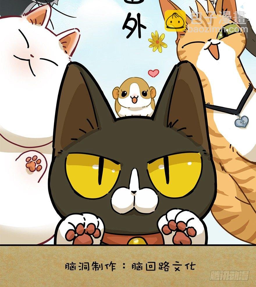 第66爪 我错了吗？