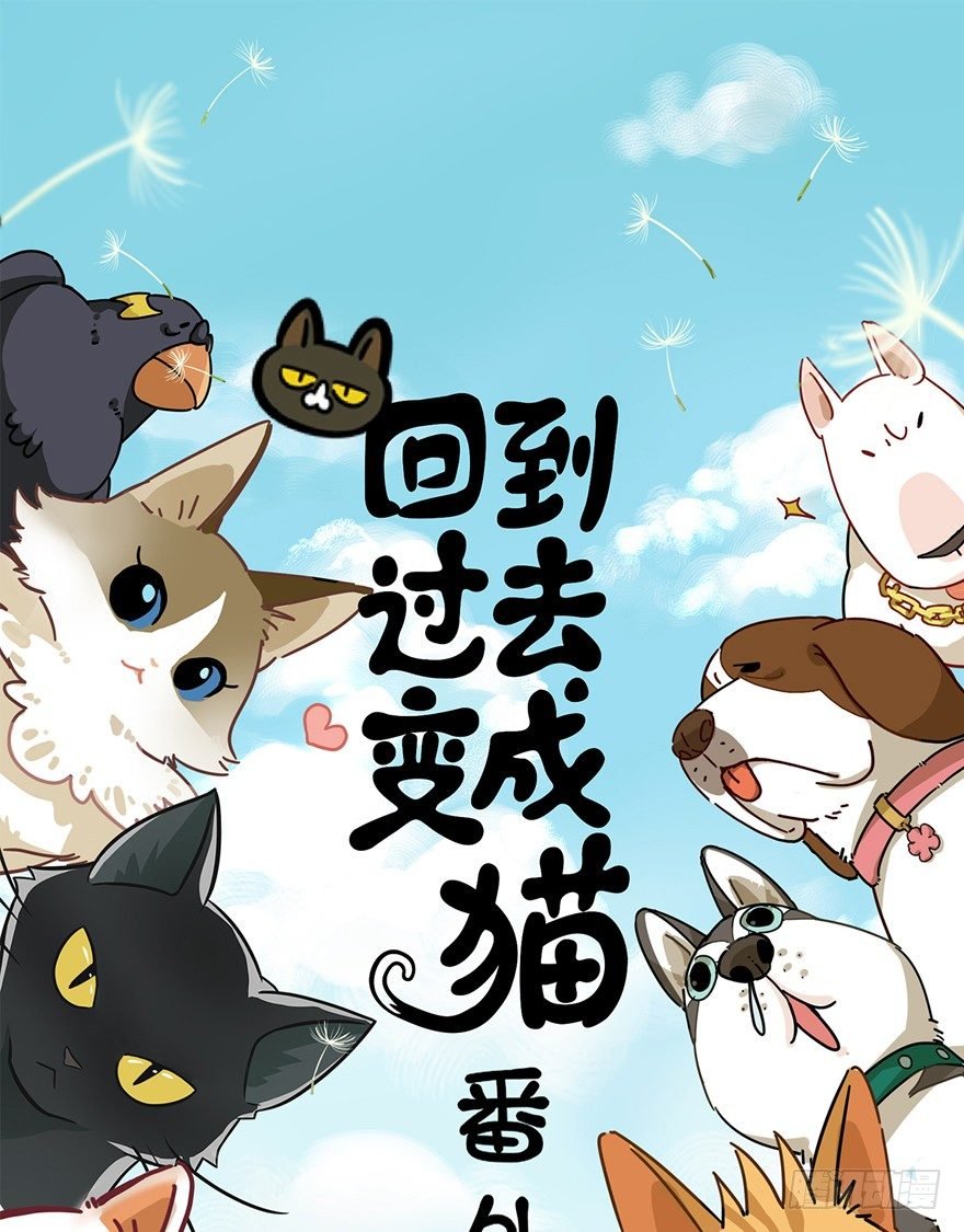第67爪 “和平”协议（上）