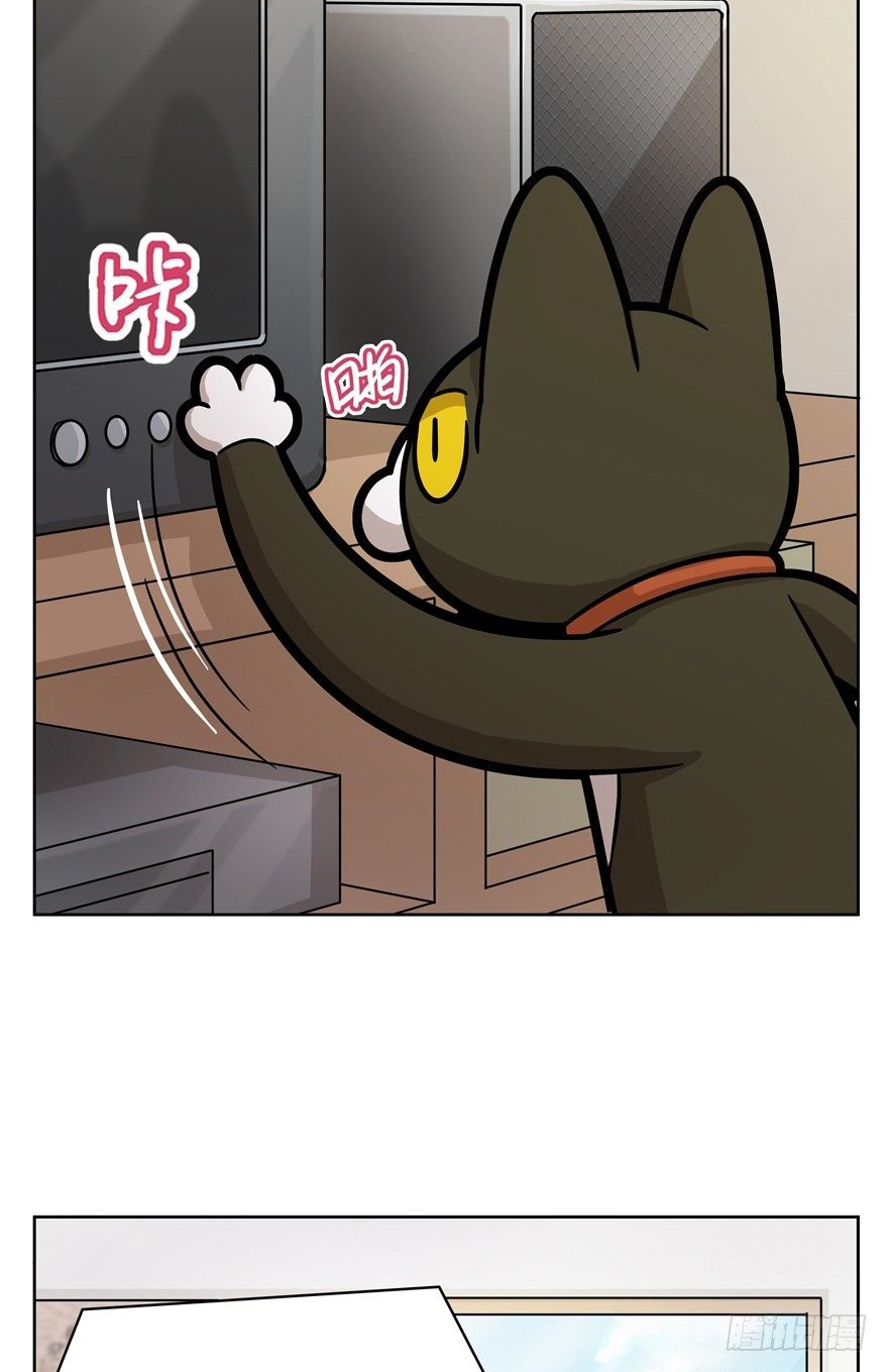 第67爪 “和平”协议（上）