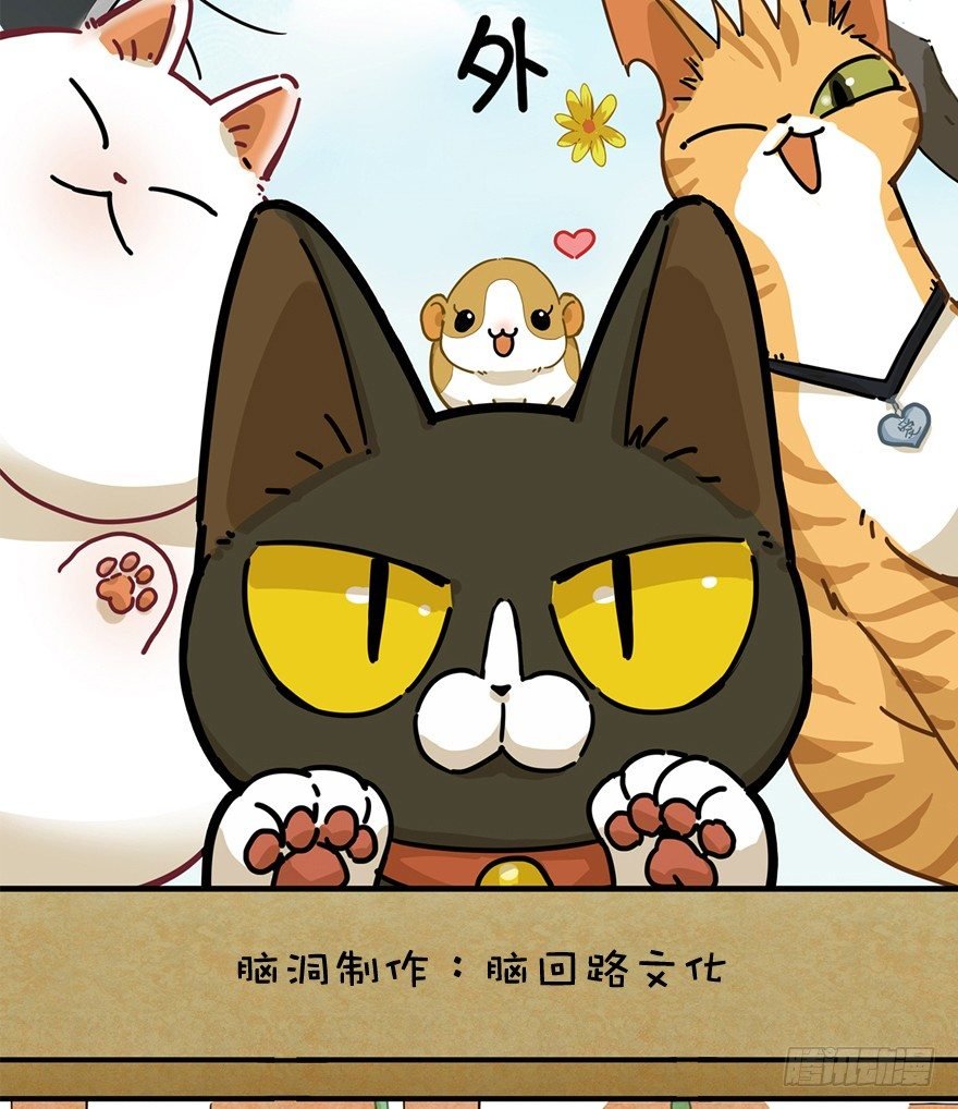 第74爪 身份之谜
