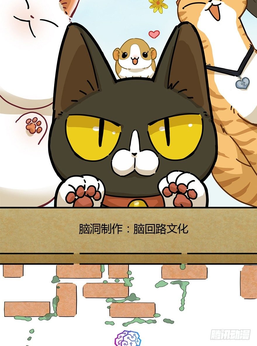 第90爪 翻脸不认猫（上）