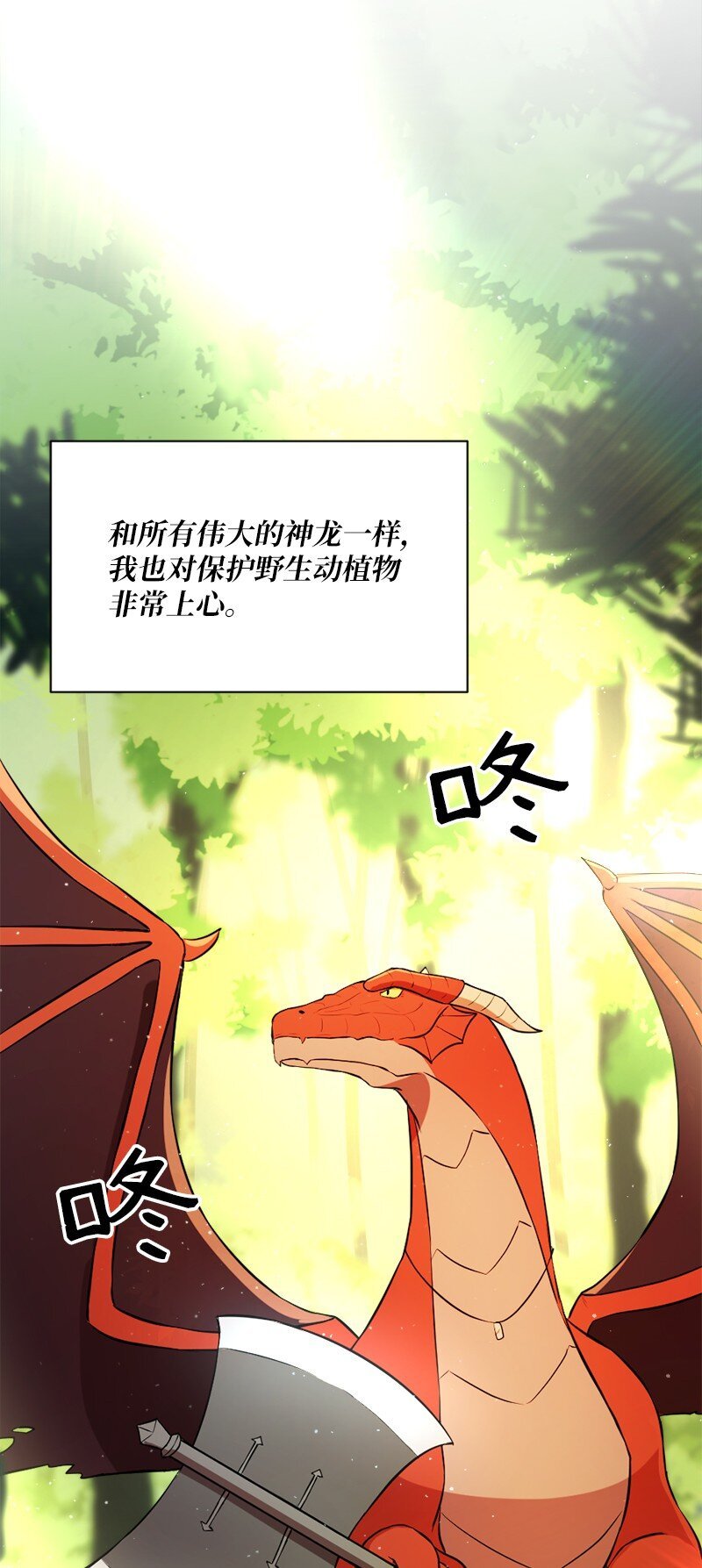 8 神龙的蓝图