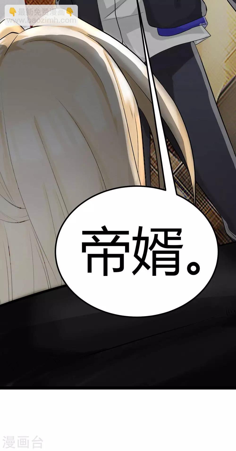 第17话 帝婿
