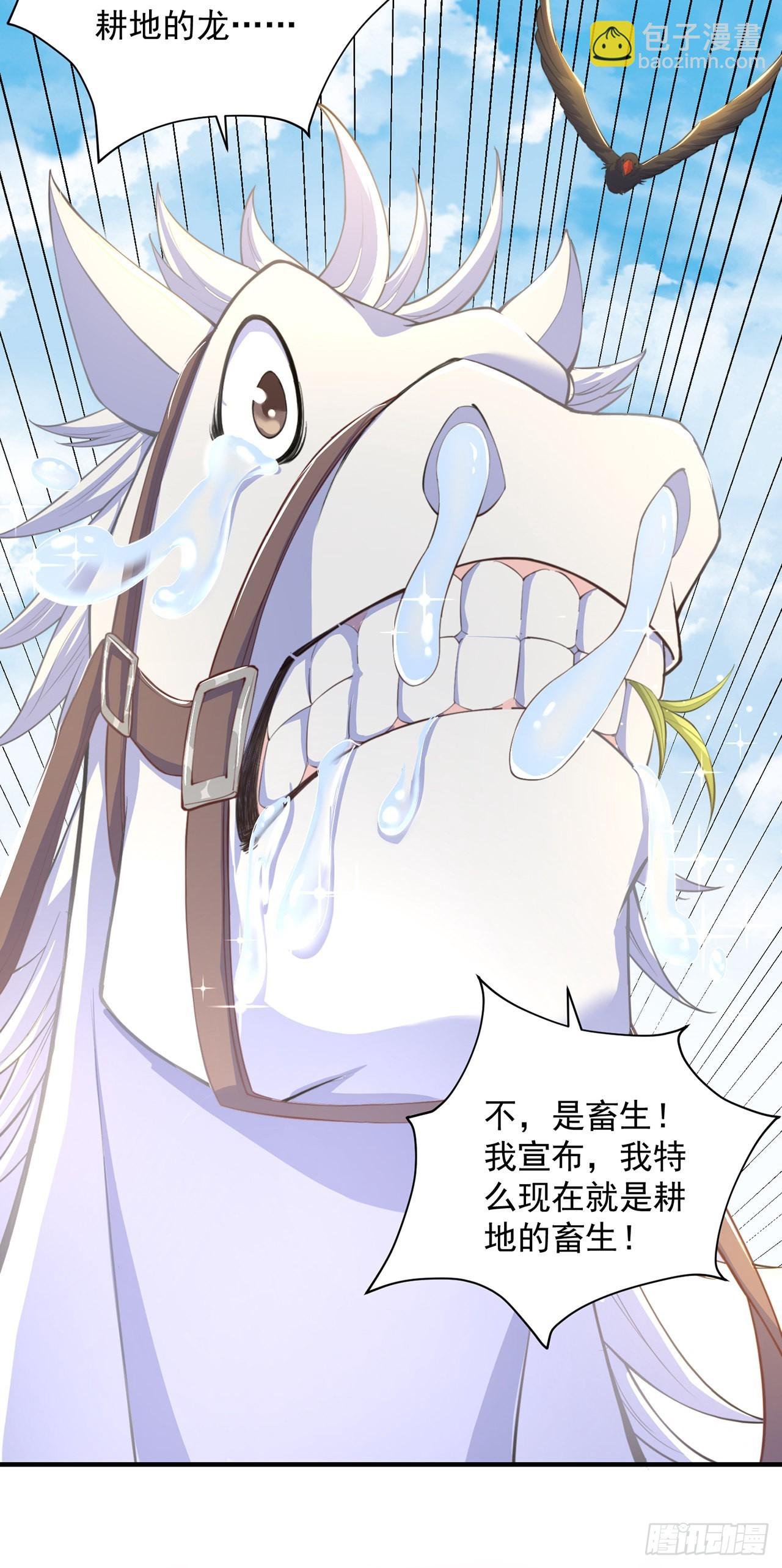第8话 可爱的红烧兔头