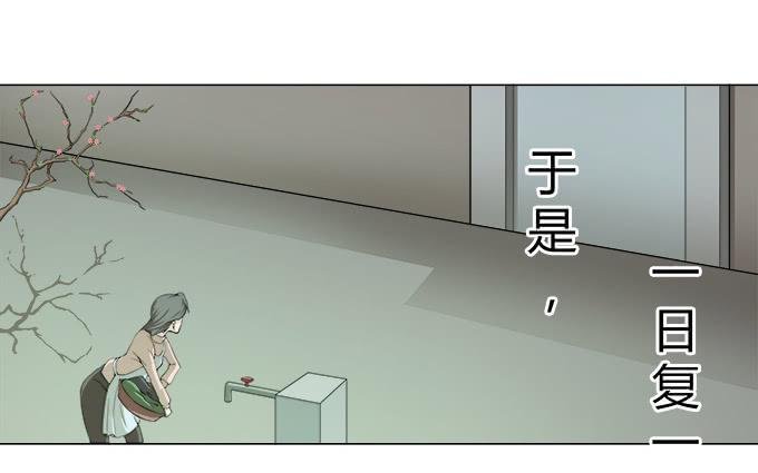 第29话：光明骑士（一）