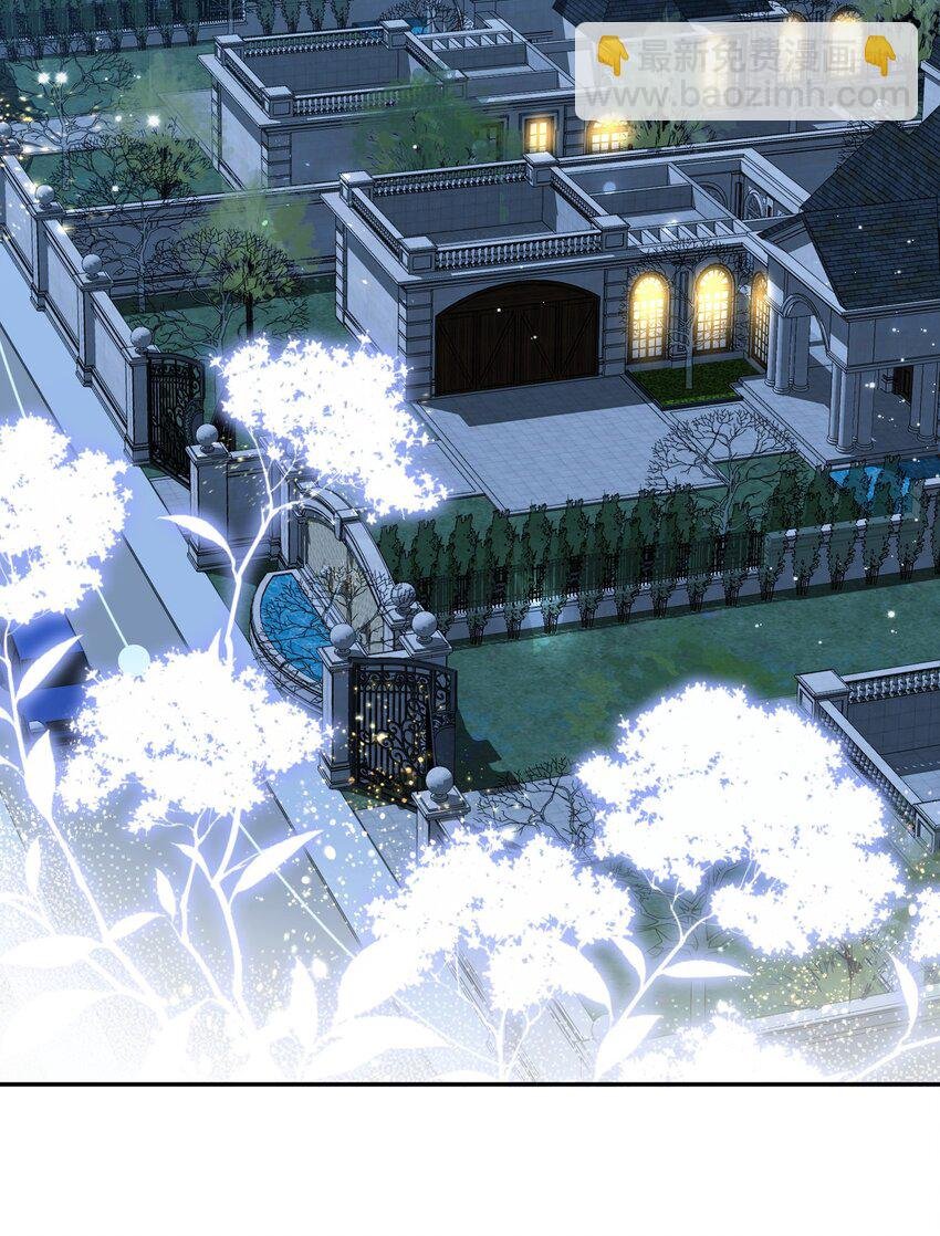 第1话 隐婚四年终离婚