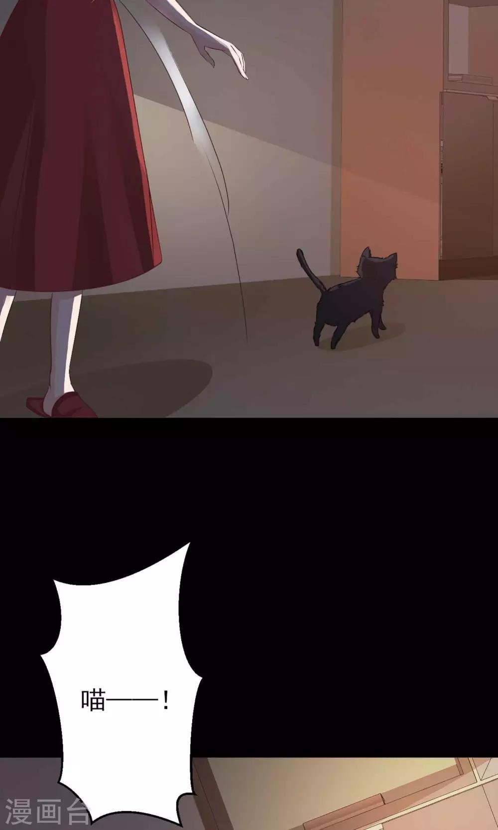 第4话 黑猫怪谈1
