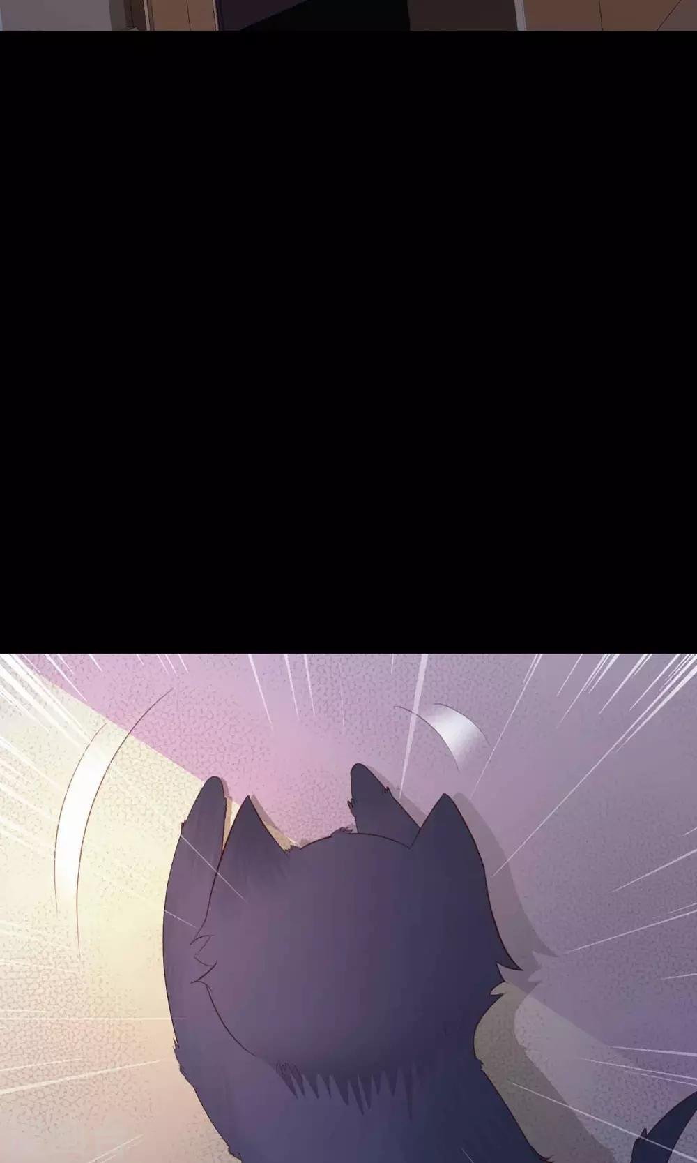 第5话 黑猫怪谈2