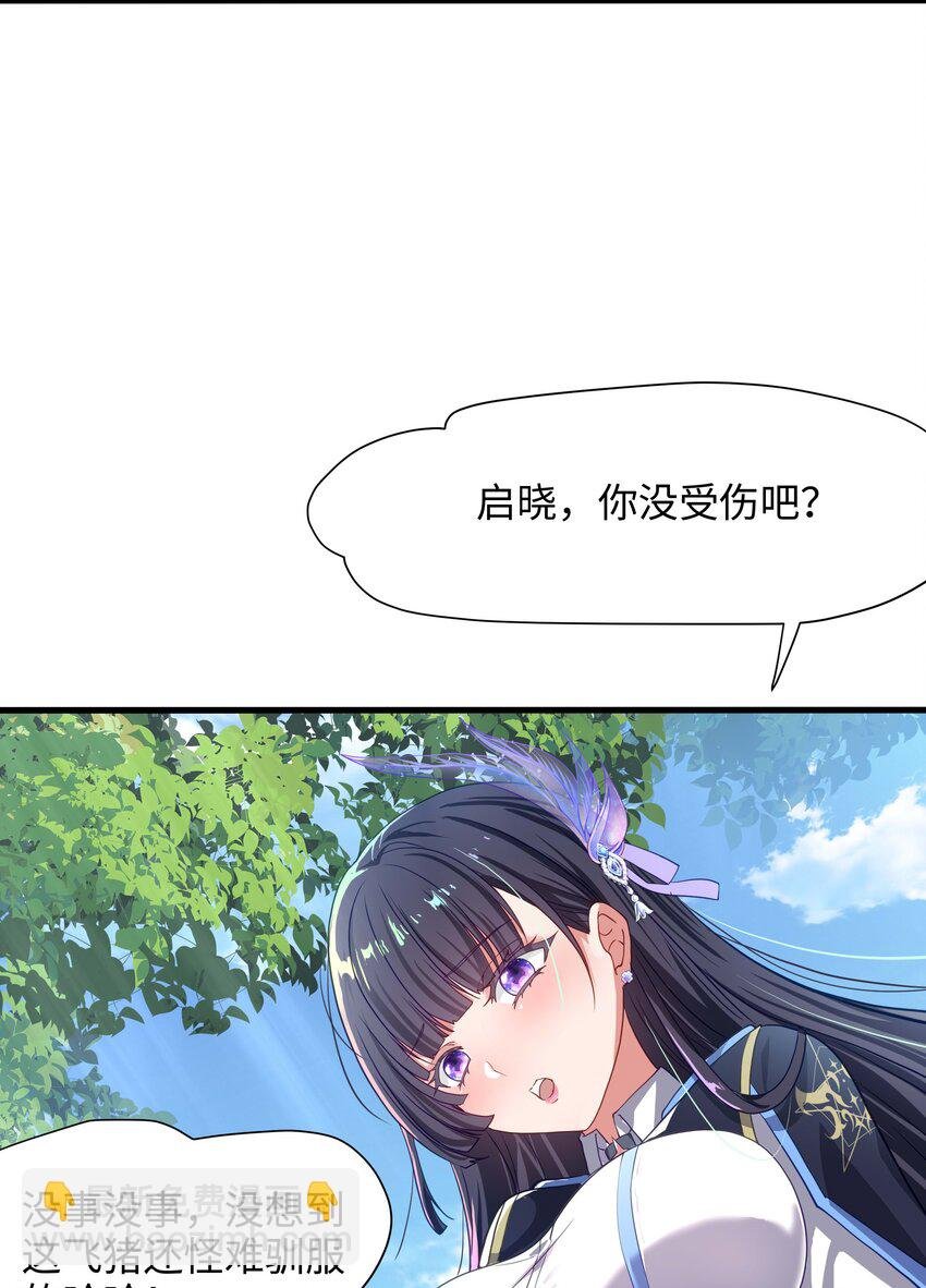 006 第三种能力