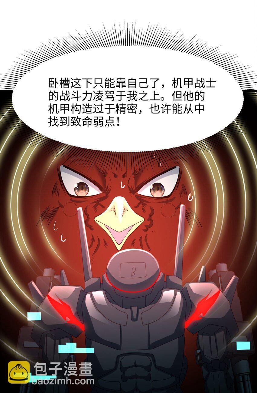 060 最强战斗鸡