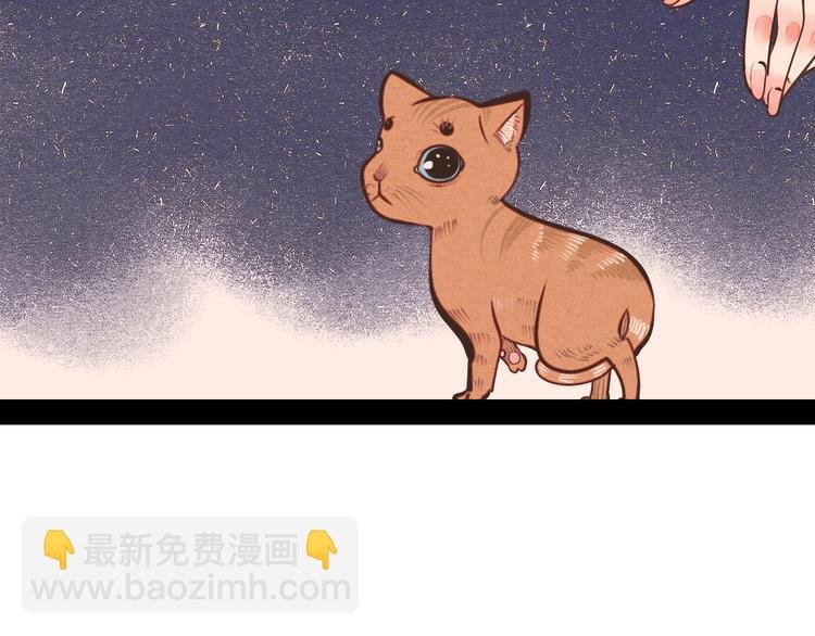 第44话 抢婚啦！