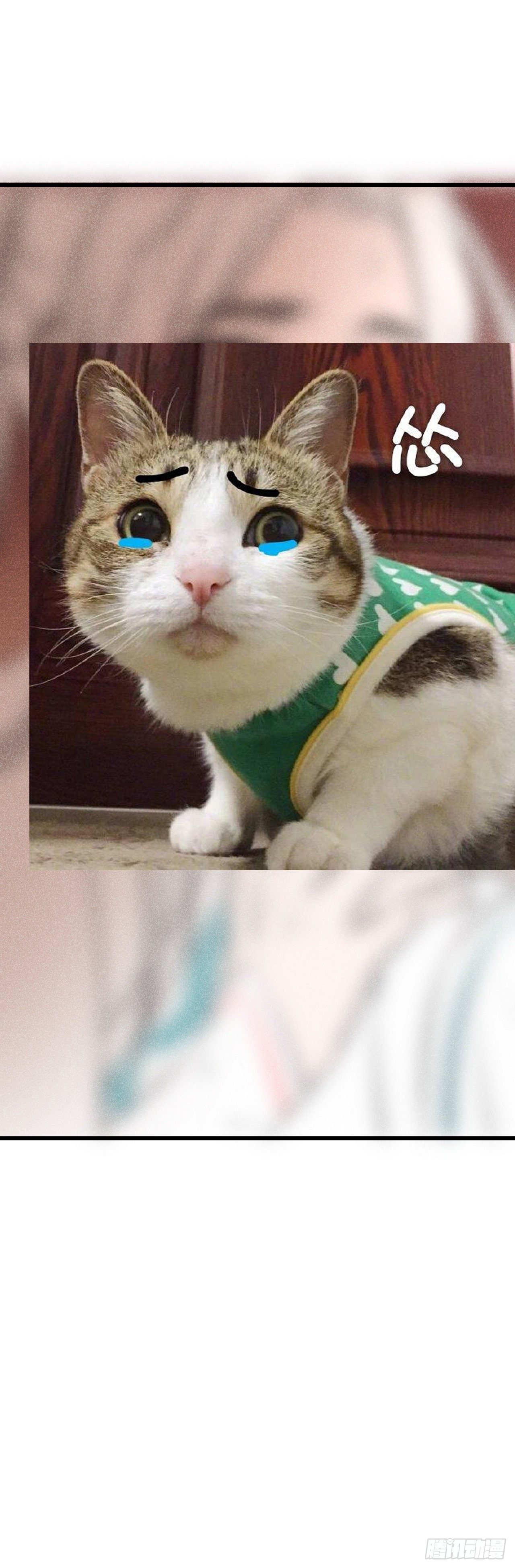 71·意乱迷情（上）