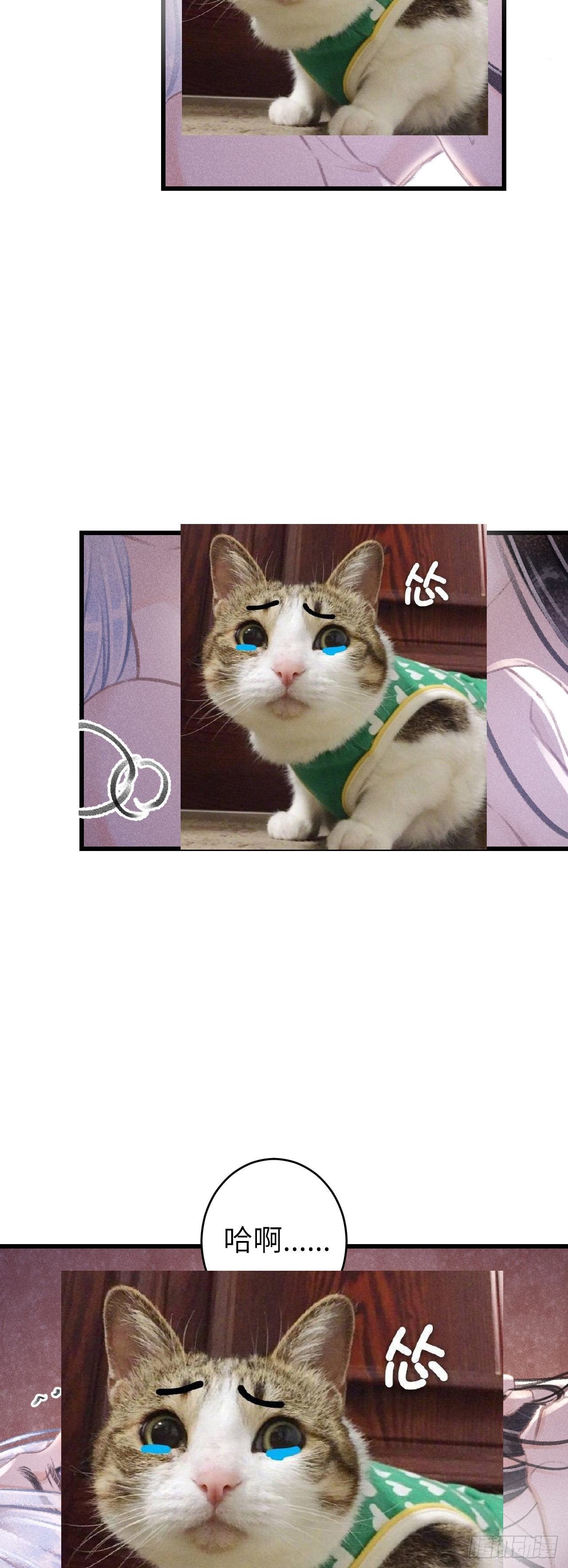 74·一梦前尘