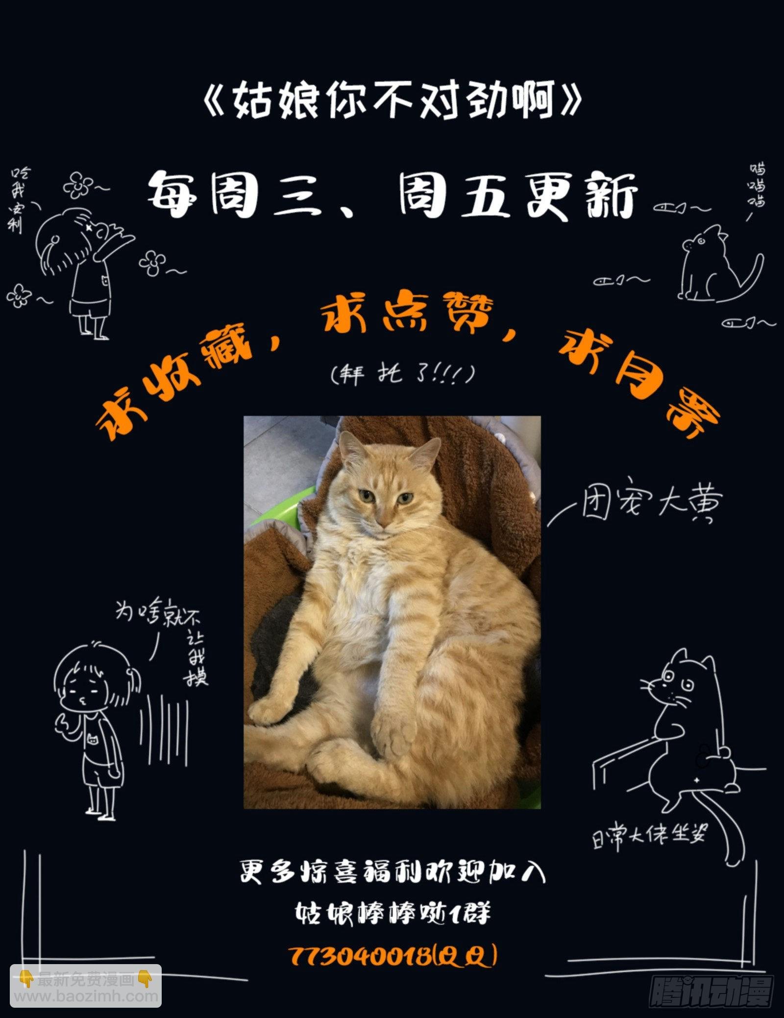 第37话：盖印
