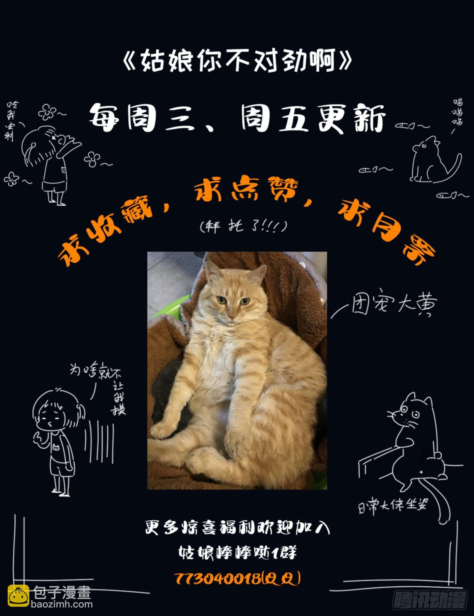 第45话：一夜好梦