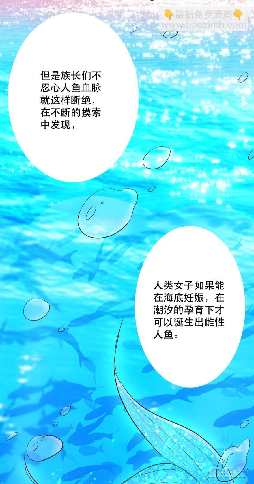 2 单身鱼的渴望！