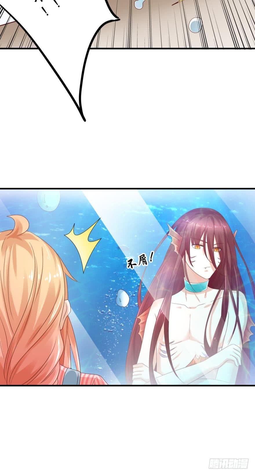 并不愉快的开始