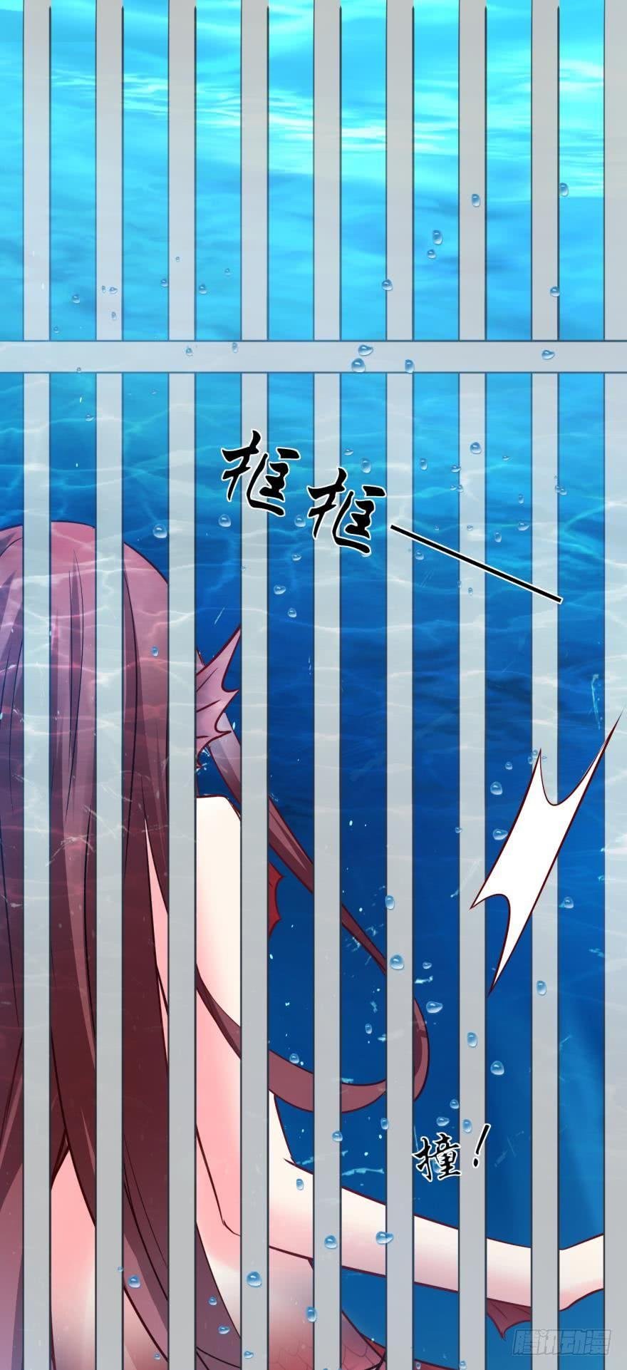 人鱼首秀