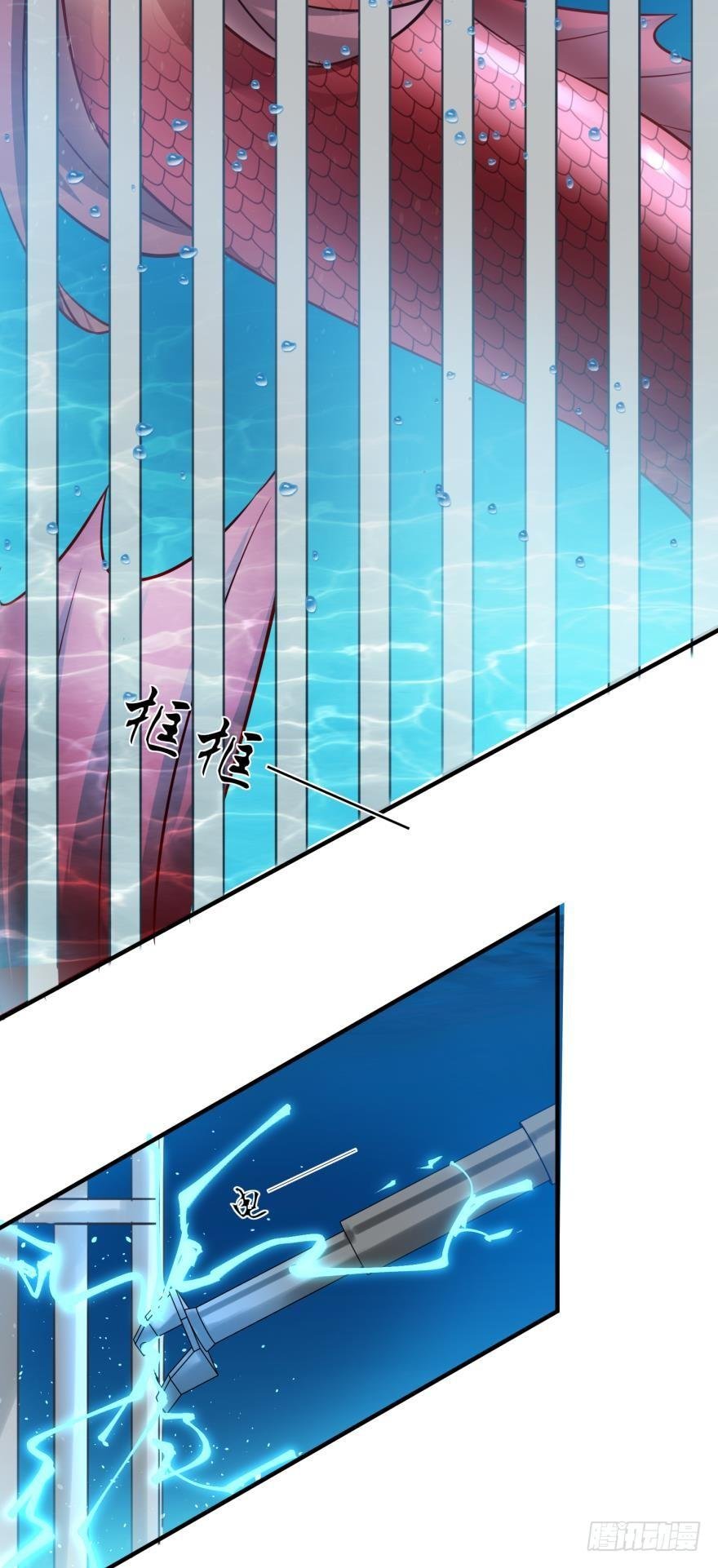 人鱼首秀