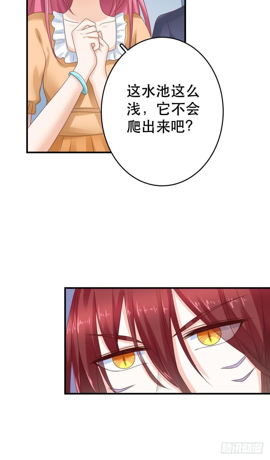 人鱼首秀