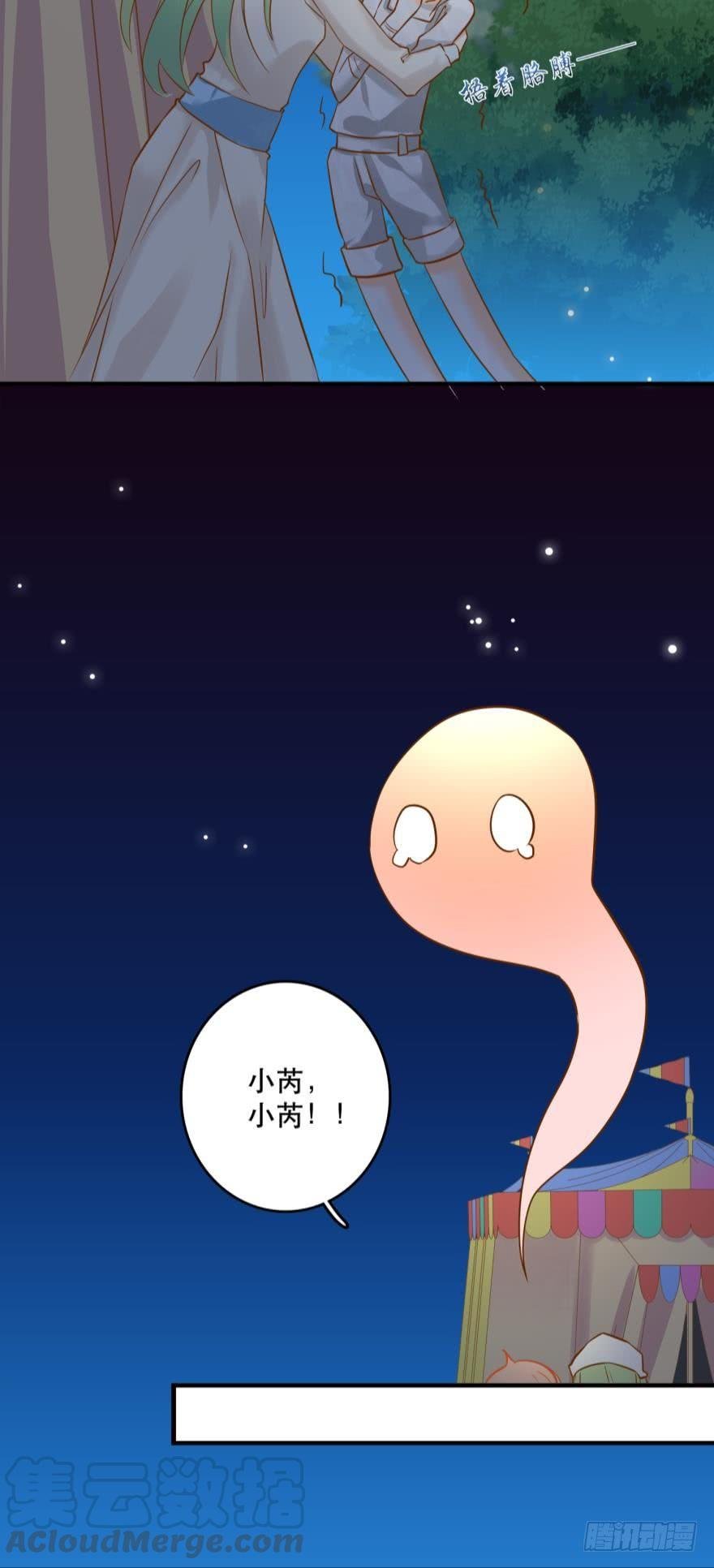 致命迷幻剂——鲛花