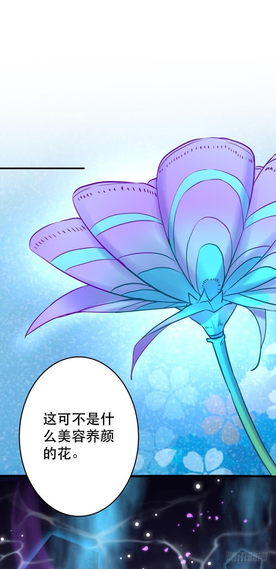 致命迷幻剂——鲛花