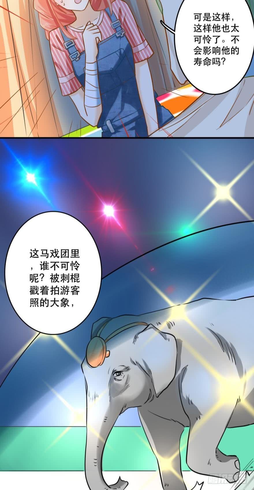 致命迷幻剂——鲛花