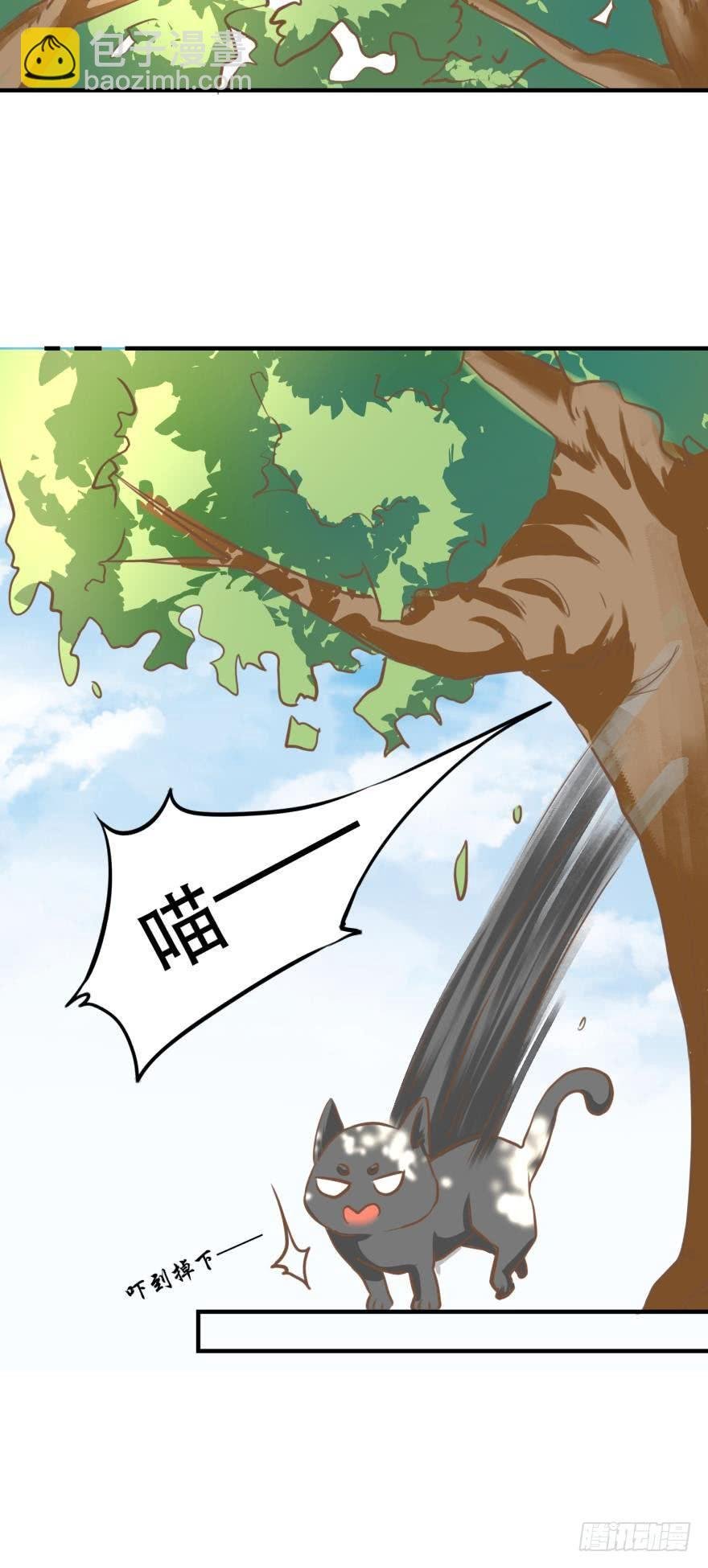 人鱼泡沫