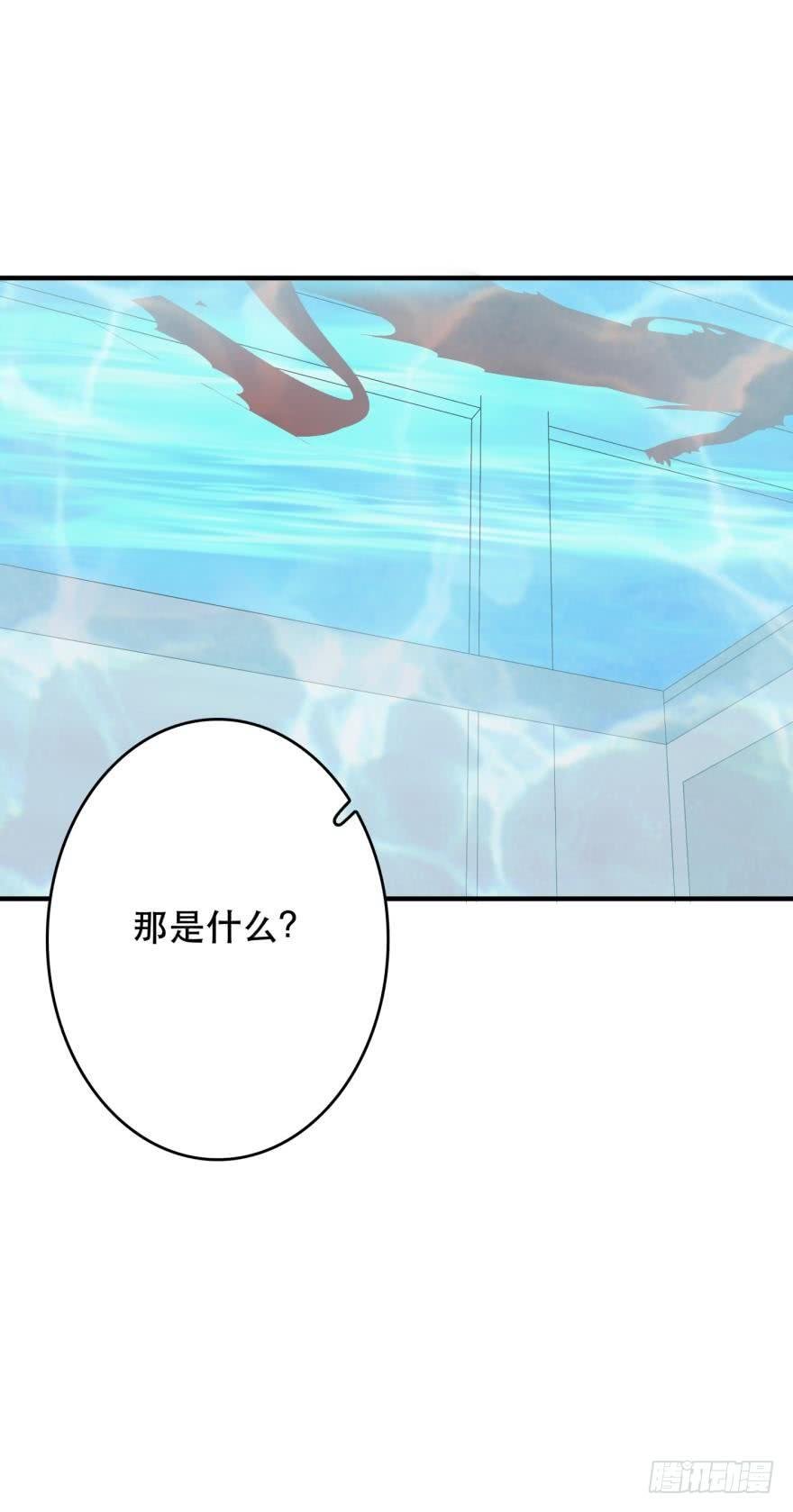 人鱼泡沫
