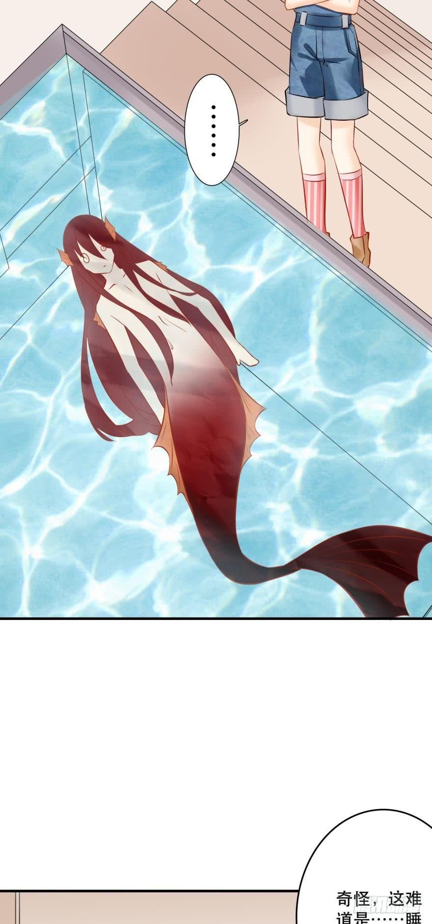 人鱼泡沫