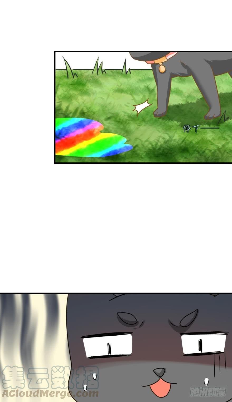 探寻