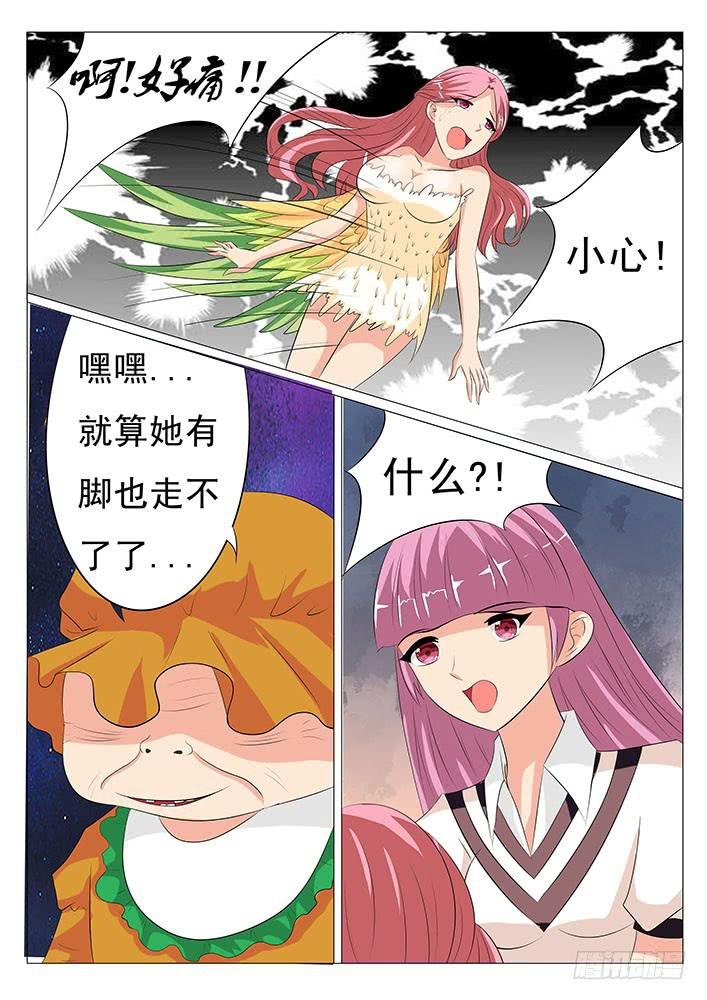 第二十话 鸟界女神
