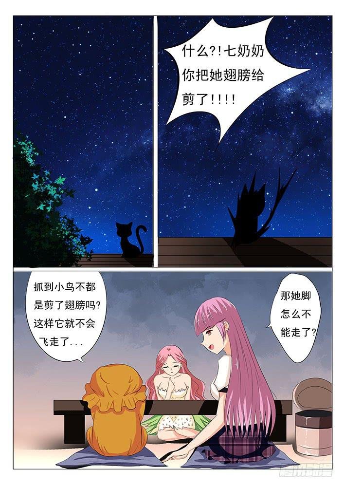 第二十话 鸟界女神