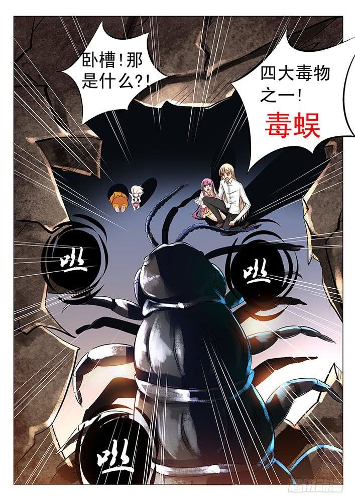 第三十六话 毒蜈!