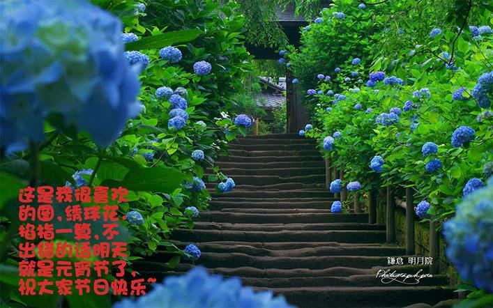 第八十六话 阴阳惑心阵