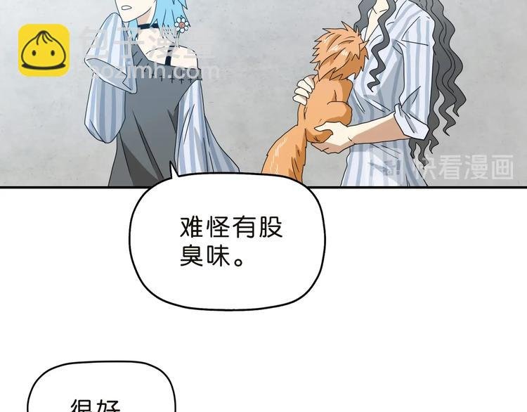第30话 蝴蝶效应 