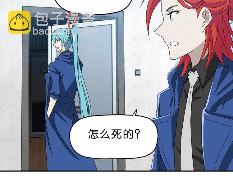 第44话 猫的另外一面