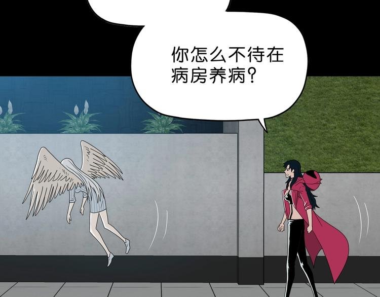 第44话 猫的另外一面