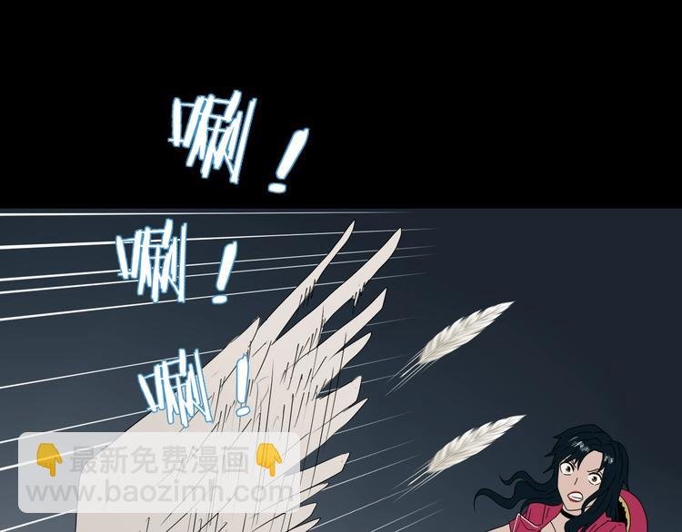第44话 猫的另外一面