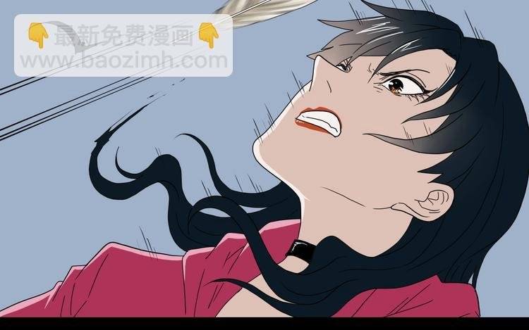 第44话 猫的另外一面