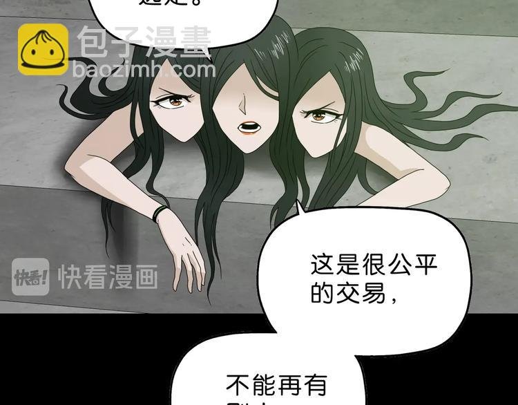 第58话 动物大暴走
