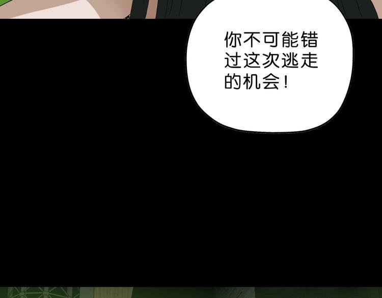 第58话 动物大暴走
