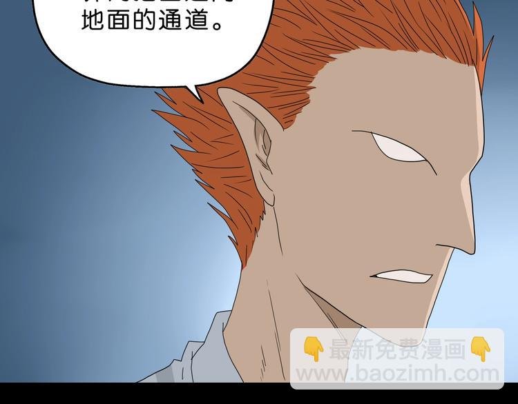 第58话 动物大暴走
