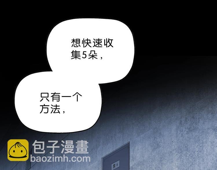 第8话 五朵红花 
