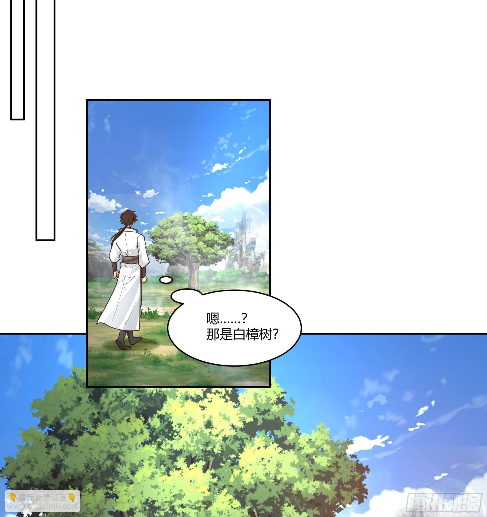 小语与三花猫