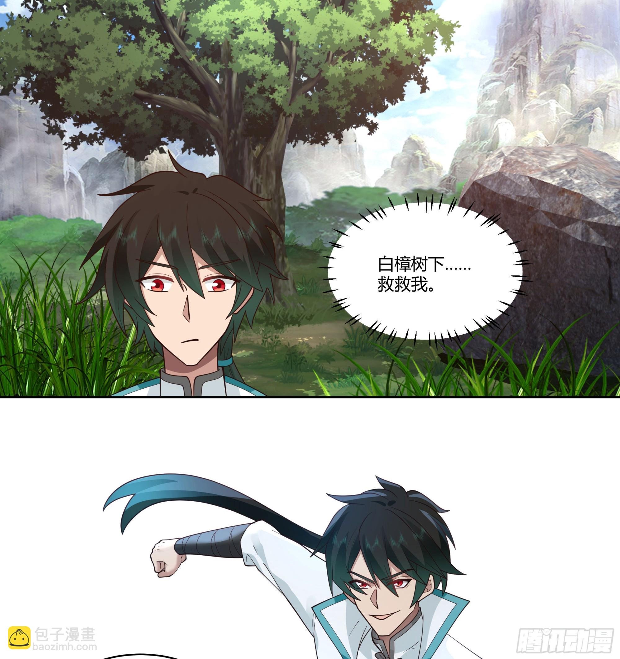 小语与三花猫
