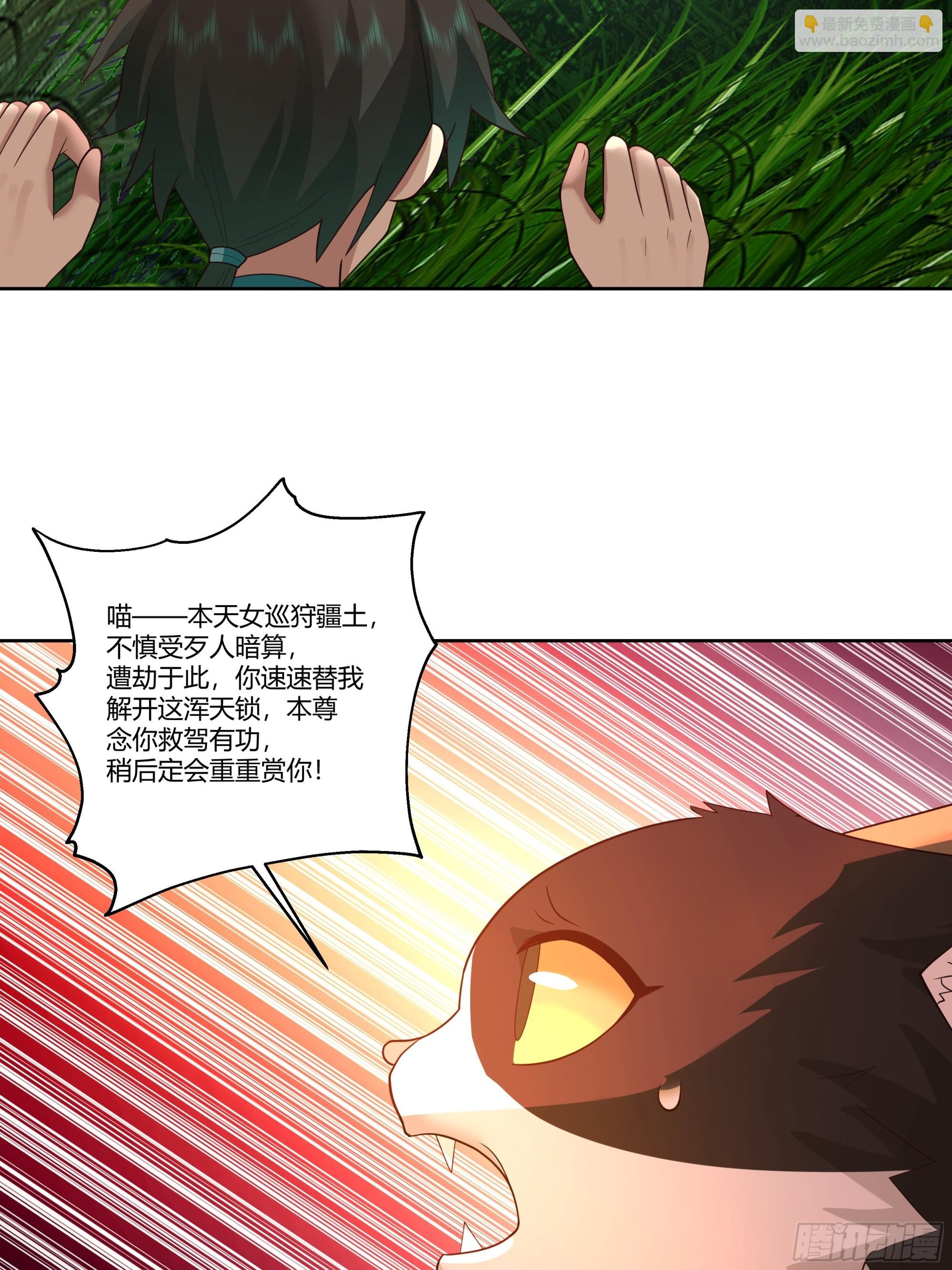 小语与三花猫