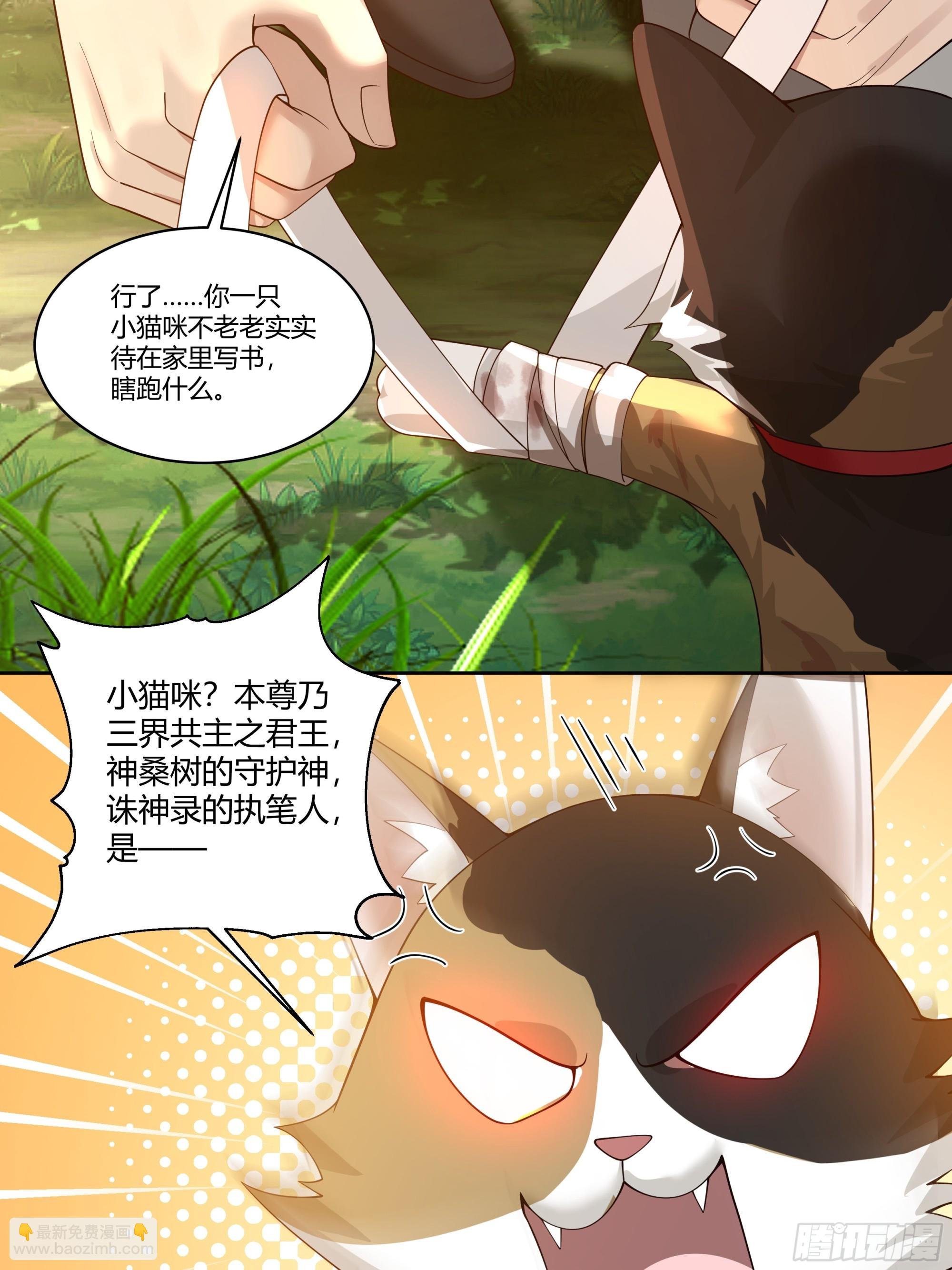 小语与三花猫
