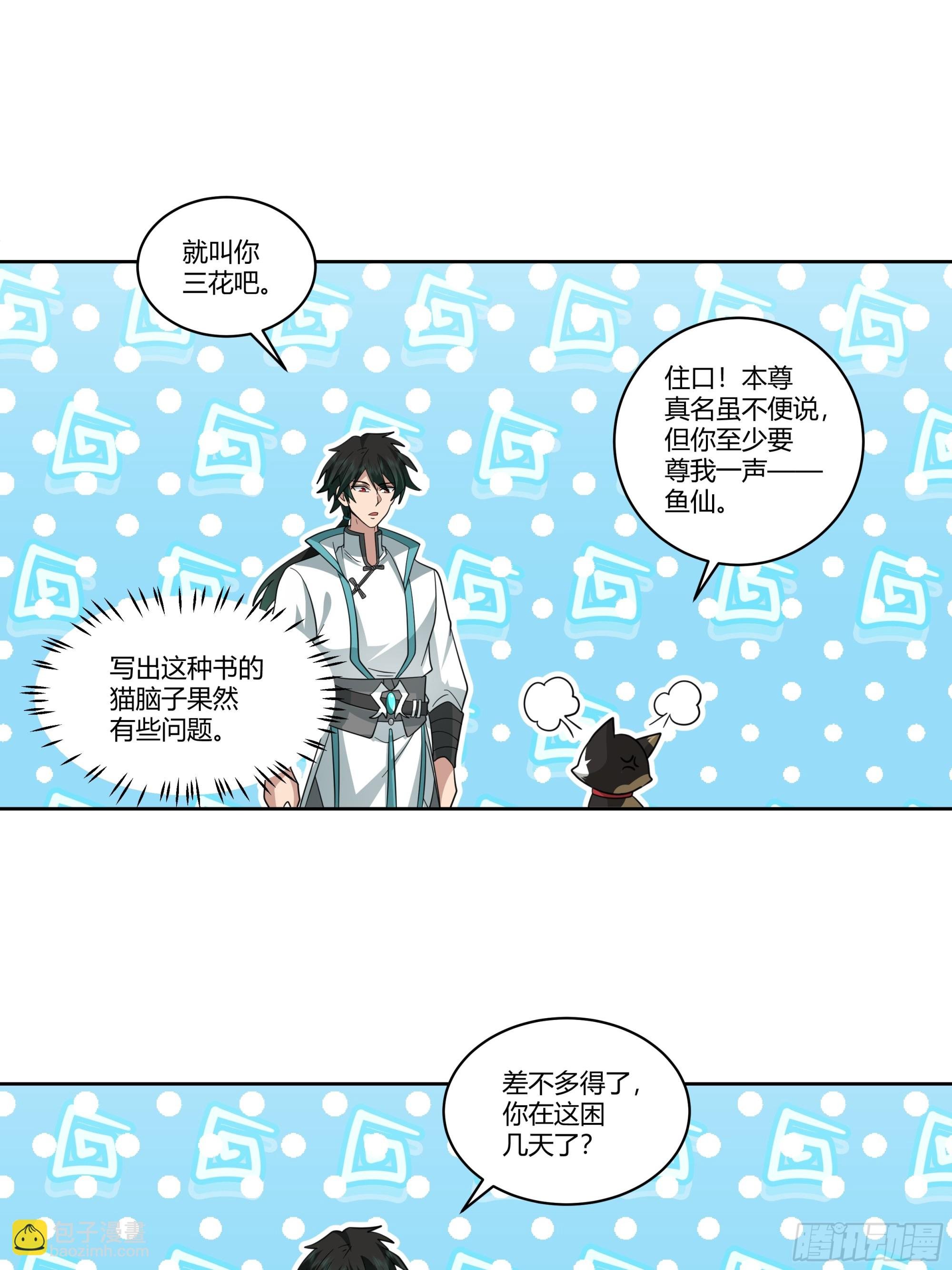 小语与三花猫